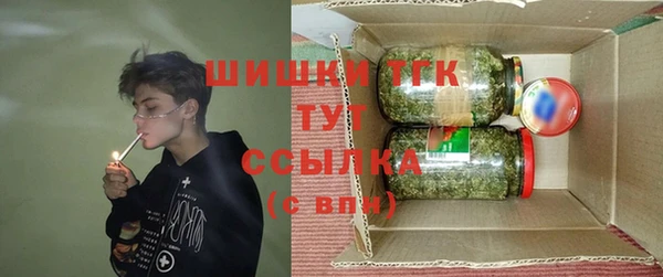 гашик Вязники